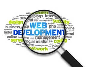Web Development (Custom Web Application)